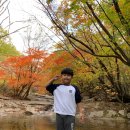 포천한국태권도장 이미지