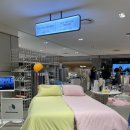 집들이 선물로 좋은 발매트, 러그추천 데이드리머 현대백화점 킨텍스점 (팝업중3/28~4/10)