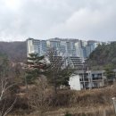 화이트호텔 | 평창 가성비호텔 찾는다면? 더 화이트호텔 8층 내돈내산 후기