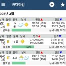 마검포해수욕장 | 태안 마검포해수욕장 평일 해루질 후기, 조과는 꽝!!