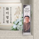 비비드디자인2