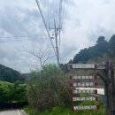 숲속 데크와 계곡이 있는 포천 엉클킴스캠핑장 B11후기