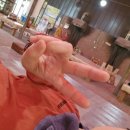 용인숯가마찜질방 서울근교 가볼만한곳 황토참숯가마 이용안내