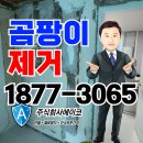 주식회사고려연마 | 청주곰팡이제거 만족한 후기
