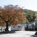 공북2구 이미지