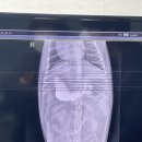 아이편한 동물의료센터 이미지