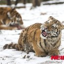 토끼와 거북이길 이미지