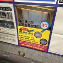 염편한세상 이미지