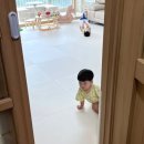 띠아모