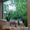 강남 지웰홈즈 거주청소후기 강남힐스테이트에코 거주청소후기 자곡동 오피스텔입주청소 강남지웰홈즈...