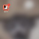 요리조리유치원 이미지