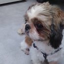 서초3동010 이미지