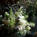 (주)디자인안채 이미지