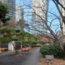 잠실나루역 1,2번출구사이 | 잠실나루역 파크리오 임장과 시세