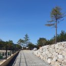 델루나 관광펜션 이미지