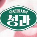 성수청과 이미지