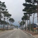 파리바게뜨파동 이미지