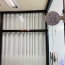 보들 반려견 미용실 네이버블로그