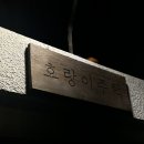 애월시크릿가든 | 한림 숙소 추천 ㅣ파티없는 소소한 대화를 나누는 게스트하우스 1인실 솔직 후기ㅣ 호랑이주택 (내돈내산)