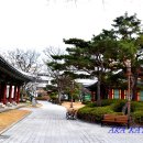 대구 경상감영지(大邱 慶尙監營址) 이미지