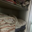 유명펜션 | 제주 표선 독채 가족 펜션 숙소후기 - 유명펜션