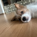 타이디디자인 이미지