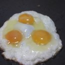 스페샬꼬치구이 네이버블로그