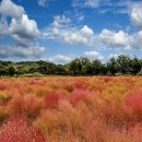그럼에도 불구하고 이미지