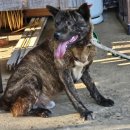 학수농장 이미지