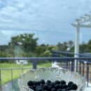 제주 자르뎅 이미지