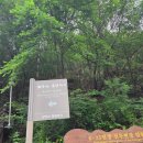 감악산힐링파크주차장 | [파주 가볼만한곳] 주말 등산 추천! 출렁다리가 매력적인 '감악산' 완등 후기 ⛰️