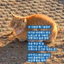 갓구워낸빵