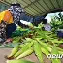 단구1리 이미지
