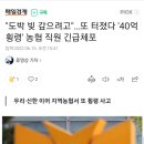 "도박 빚 갚으려고"…또 터졌다 '40억 횡령' 농협 직원 긴급체포 이미지