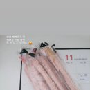 요가2.(오후반) 이미지