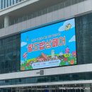 (정당용)컨벤션센터사거리 | 2025 팔도밥상페어 후기 푸드쇼 먹거리 수원컨벤션센터 주차