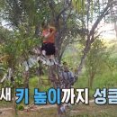 과일사냥꾼
