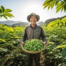 강원임업 - 강릉시 포남동 | 🌲 임업직불금 130만원, 2026년 신청 자격과 방법 완벽 정리 (100평도 가능!)