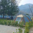 상주 감꽃마을 서울캠핑장 이미지