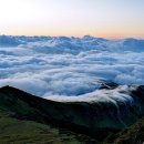 산천초목 이미지