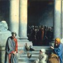 베드로 농장 이미지