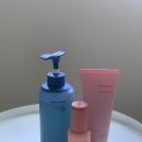 (주)아모스 | 미국에서 K뷰티로 머릿결 살리기 | 아모스 프로페셔널 후기