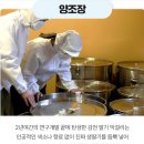술마켓 전통주 체험단 알려주조 벗드림 감천막걸리 딸기 후기