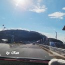 식당돈 | 천북굴단지 가격 굴축제 기간 애견동반식당 내 돈 후기