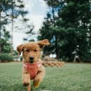 24시큰사랑동물병원 이미지