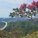 울진봉평리신라비전시관 이미지