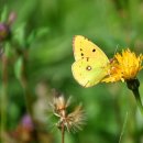 인생은 시처럼 음악처럼 이미지