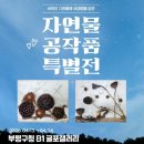굴포