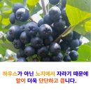 청정건강몰