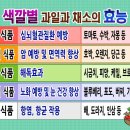 색깔 Daum카페